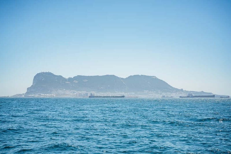 Gibraltar: Dolphin Watching Tour - The Value of the Experience
