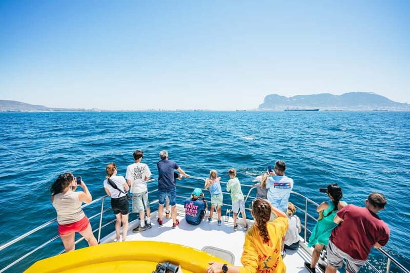 Gibraltar: Dolphin Watching Tour - The Sum Up
