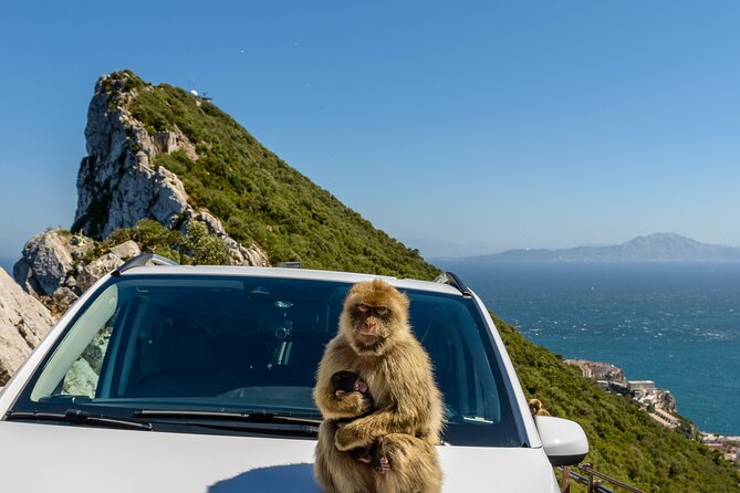 Gibraltar Full Day Tour Ultimate Tour 7hrs - Tour Inclusions