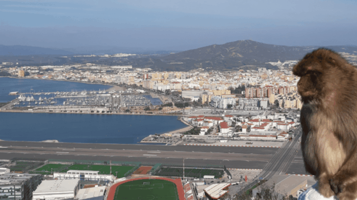 Gibraltar: Guided Tour From the Costa Del Sol - Transportation Details