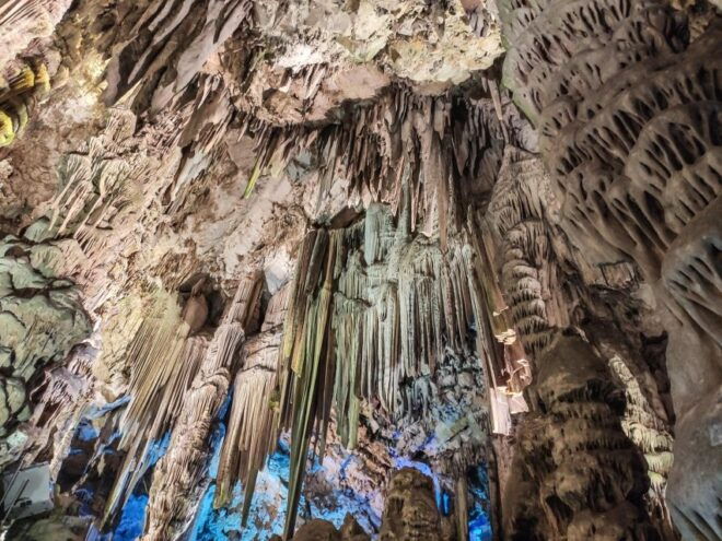 Gibraltar: Premium Private Day Trip & Rock Tour - Highlights