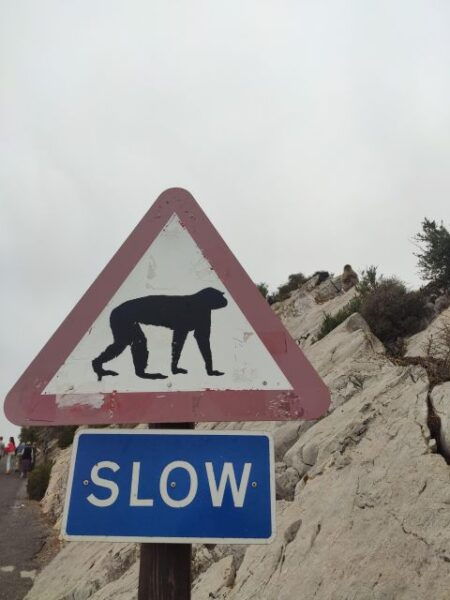 Gibraltar: Premium Private Day Trip & Rock Tour - The Sum Up