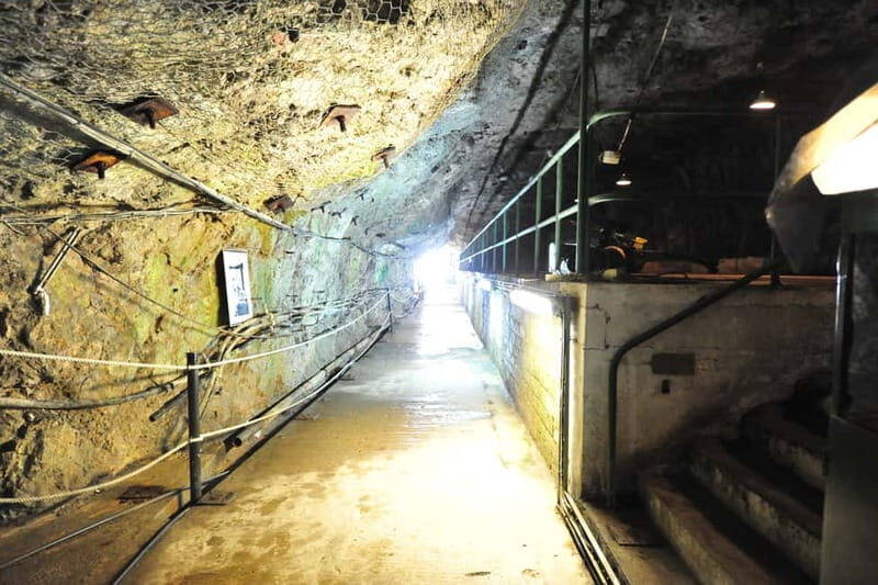 Gibraltar: Private Highlights Tour with Entry Tickets - FAQs