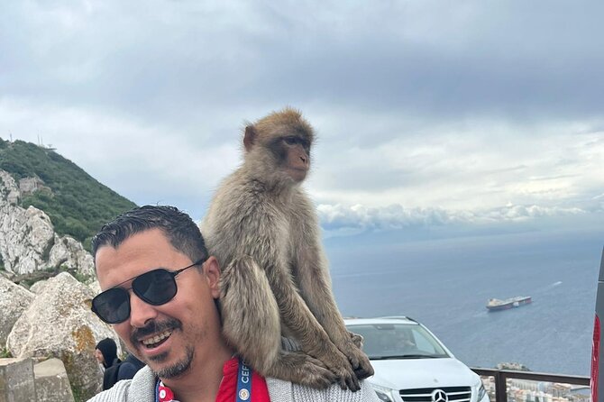 Gibraltar Private Tour From Malaga and Surronding Areas - Viator Help Center