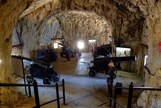 Gibraltar Private Tour From Malaga and Surronding Areas - Common Questions