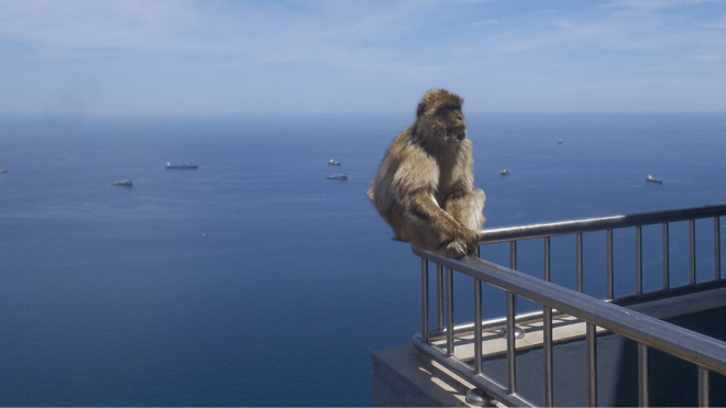 Gibraltar Shopping - Duty-Free Shopping Opportunities