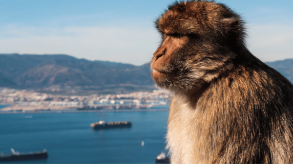 Gibraltar Shopping - Cultural Attractions
