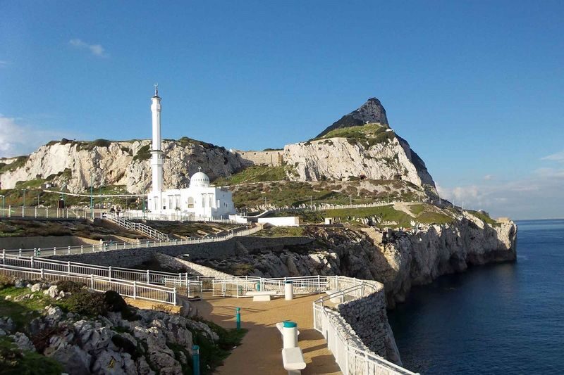 Gibraltar Sightseeing Day Tour from Costa del Sol - The Costa del Sol ride takes patience