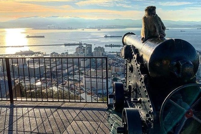 Gibraltar Sightseeing :SKYWALK AND SUSPENSION BRIDGE TOUR (Private) - The Sum Up