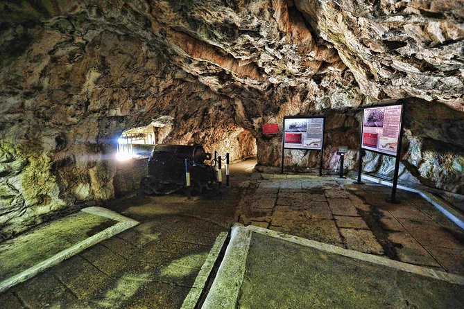 Gibraltar Standard Tour 1.45hrs - Pricing Details and Guarantee