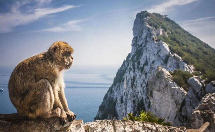 Gibraltar Tour From Málaga/Torremolinos/Benalmádena - Booking Information