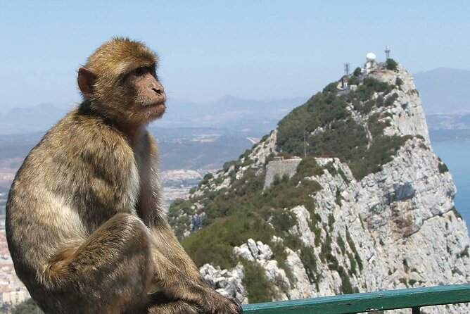 Gibraltar With St Michael Caves Guided Tour From Costa Del Sol - Tour Overview and Highlights