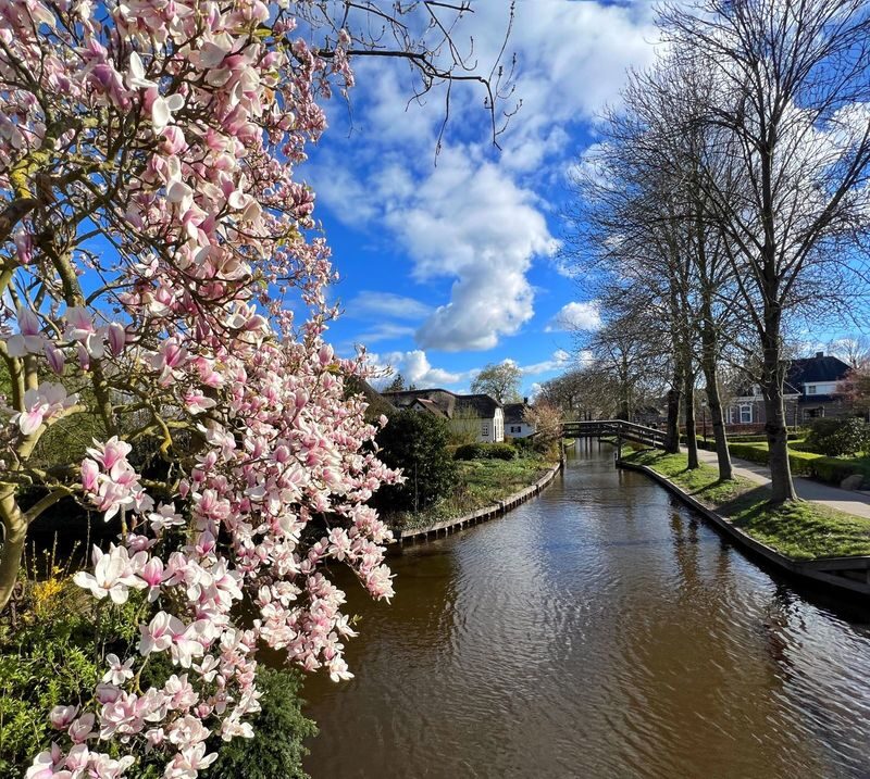 Giethoorn, Afsluitdijk, Zaanse Schans Day Tour with Hotel Pick up - What the price covers, and what it does not
