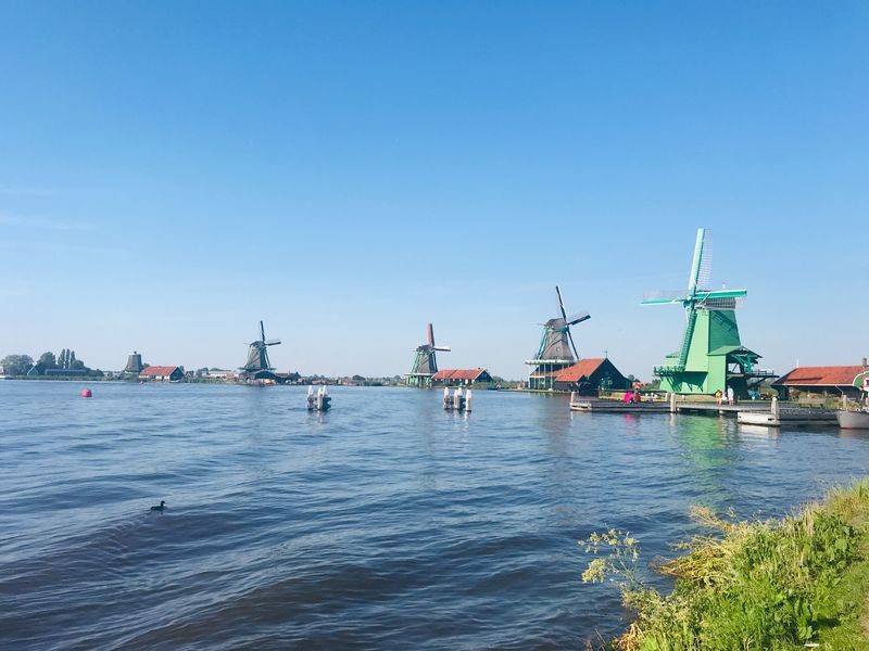 Giethoorn Day Tours with Traditional Boat Cruise - What the full-day schedule feels like