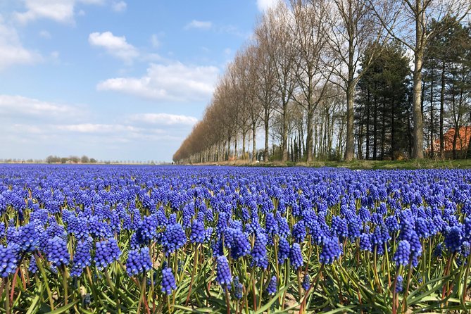 Giethoorn Private Tour From Amsterdam With Guide and Custom Options - Background