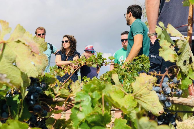 Giethoorn Private Tour From Amsterdam With Guide and Custom Options - Directions