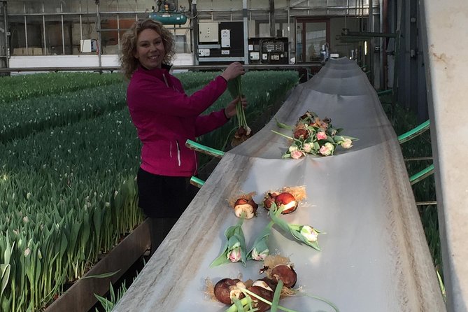 Giethoorn Private Tour From Amsterdam With Guide and Custom Options - Common Questions