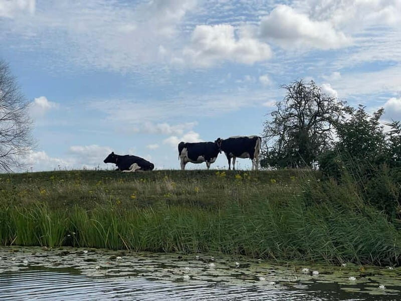 Giethoorn & Windmill Country A Journey Through Old Holland - FAQs