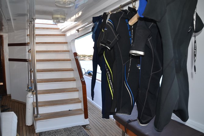 Giftun Island Snorkel Day Trip (Feb ) - Activity Details