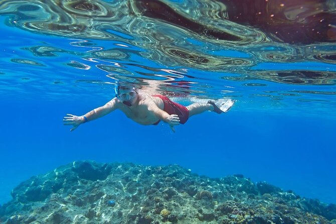 Giftun Island Snorkeling at Hurghada, Red Sea - Additional Information