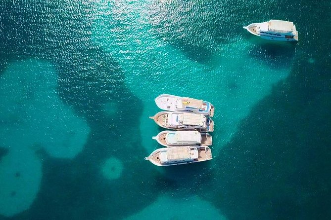 Giftun Island Snorkeling - Good To Know