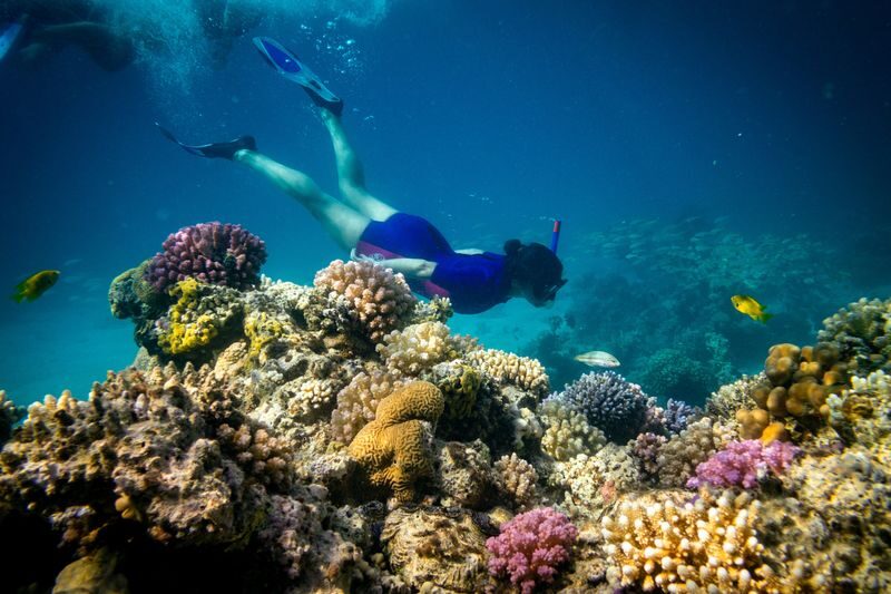 Giftun Island Snorkeling Day Tour - From Hurghada hotel pickup to the marina