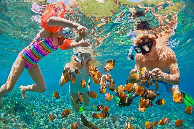 Giftun Island Snorkeling Day Tour - Giftun Island: sand, sea, and sun exposure