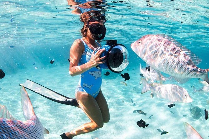 Giftun Island Snorkeling Day Trip From Sahel Hashesh - What To Expect