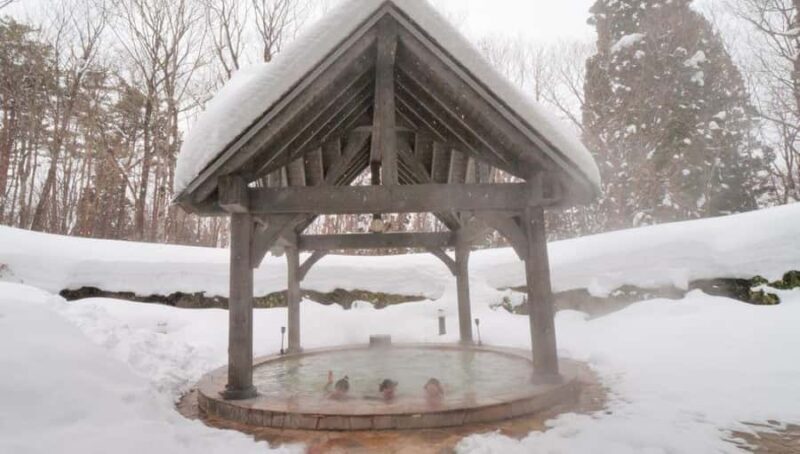 Gifu: Gujo Hachiman, Bokka no Sato, & Onsen Day Trip - Final Thoughts