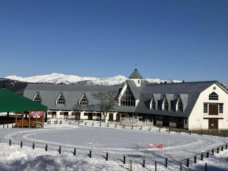 Gifu: Gujo Hachiman, Bokka no Sato, & Onsen Day Trip - Good To Know