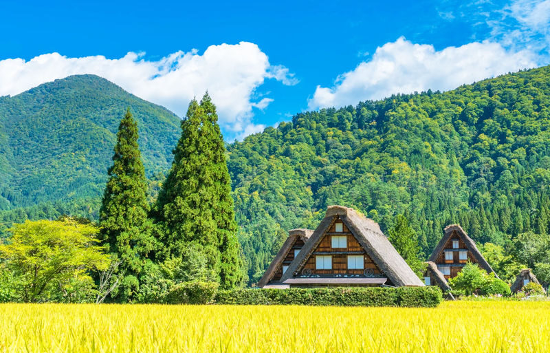 Gifu: Hida Takayama & Shirakawa-go Gassho Village One Day Tour - Small Group (Departing from Nagoya, Optional Hotel Pickup) - What the driver-guide role means