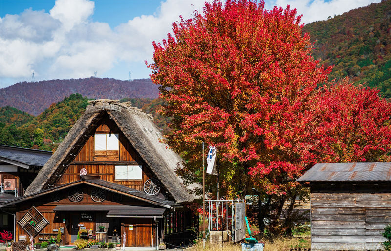 Gifu: Hida Takayama & Shirakawa-go Gassho Village One Day Tour - Small Group (Departing from Nagoya, Optional Hotel Pickup) - Choosing the pickup option and planning the day