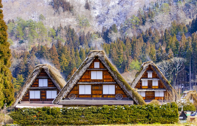 Gifu: Hida Takayama & Shirakawa-go Gassho Village One Day Tour - Small Group (Departing from Nagoya, Optional Hotel Pickup) - Who will get the most from this tour