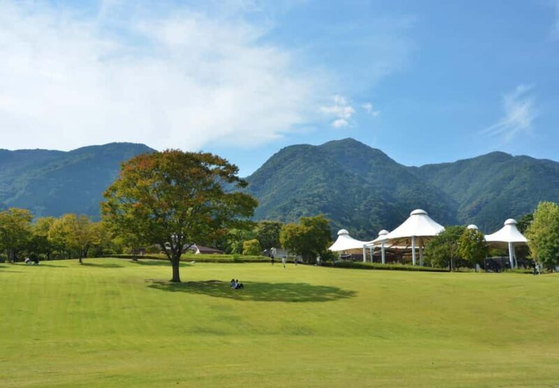 Gifu: Yrs Unforgettable Walkable Artwork - Good To Know