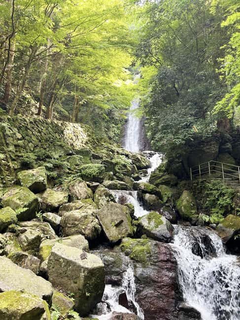 Gifu: Yrs Unforgettable Walkable Artwork - What Makes the Experience Valuable