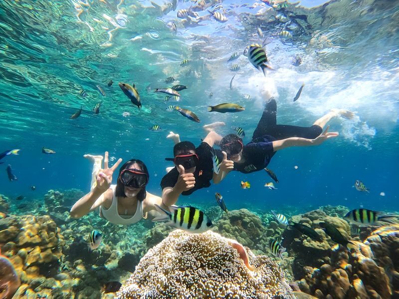 Gili Air Island Snorkeling Tour in Lombok - A private boat day among the three Gilis