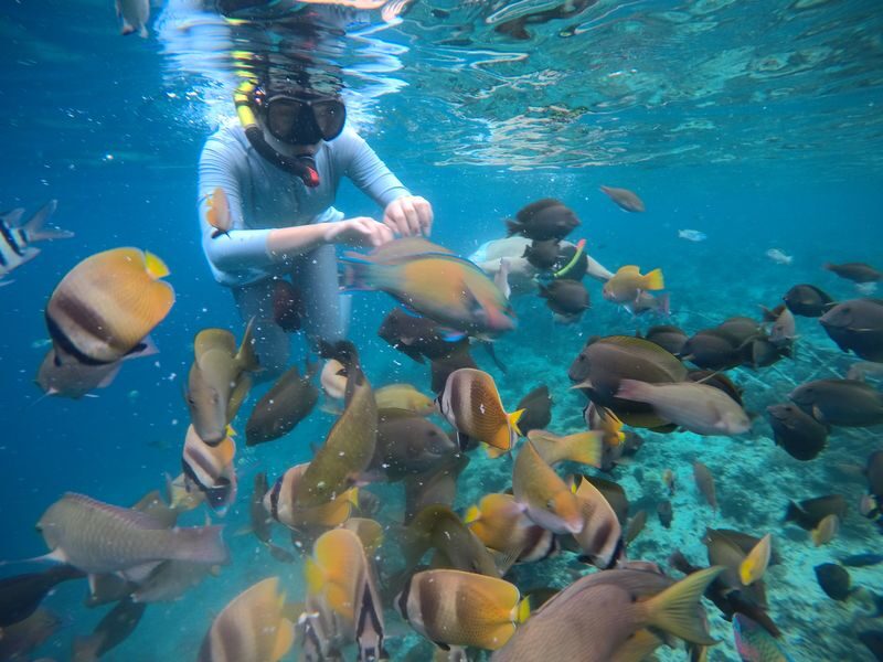Gili Air Island Snorkeling Tour in Lombok - What the morning and route may look like
