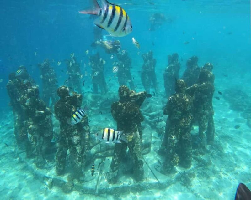 Gili Air : PRAIVATE & SHARING Snorkeling Tour+Gopro Shooting - Introduction to the Tour Experience