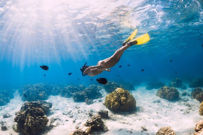 Gili Air : Private Snorkeling with 4 spots - Good To Know