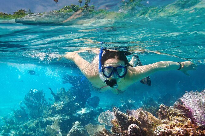 Gili Air : Private Snorkeling with 4 spots - The Sum Up