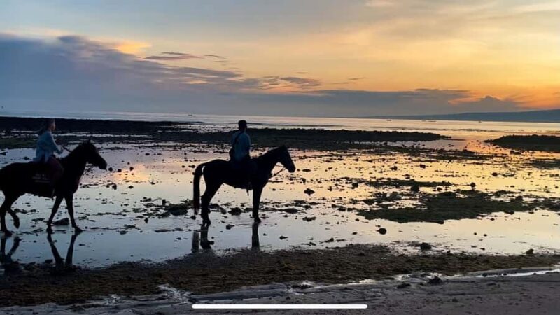 Gili Air: Private Sunrise or Sunset Horse Riding Tour - Detailed Breakdown of the Experience
