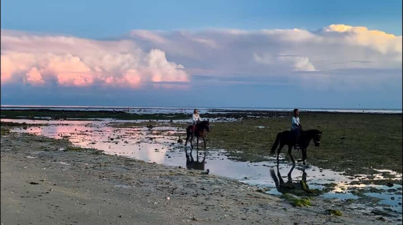 Gili Air: Private Sunrise or Sunset Horse Riding Tour - Practical Details and What to Expect