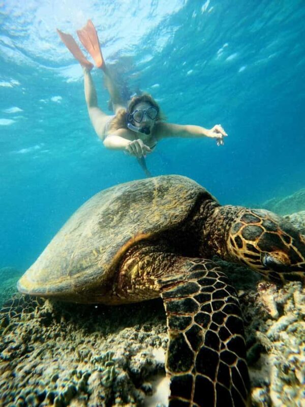 Gili Air Share Snorkeling Tour With GOPRO Documentation - Authentic Experiences: Whats Worked Well