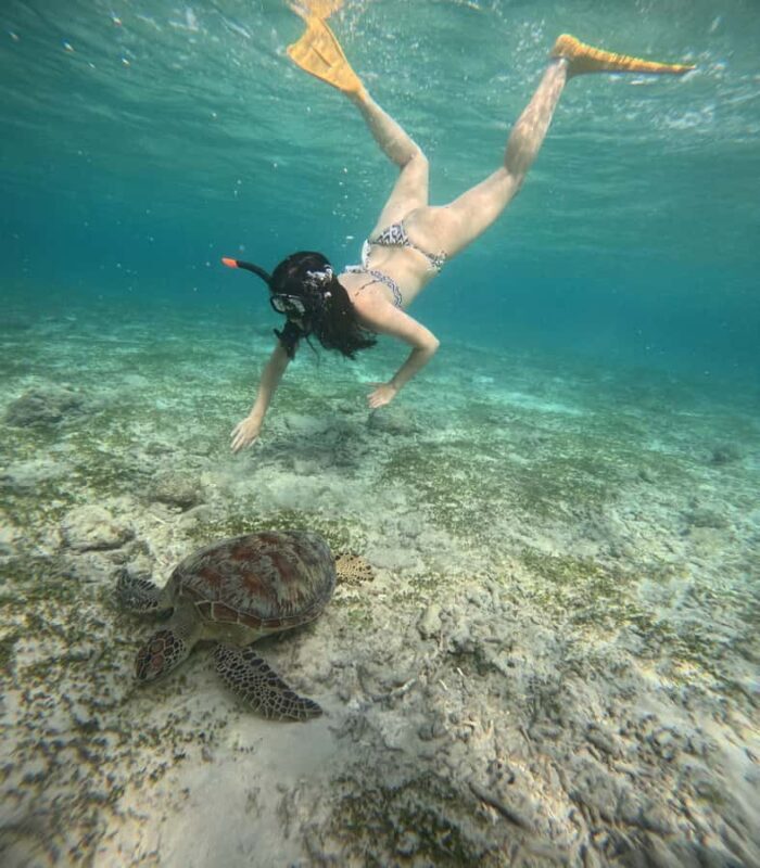 Gili Air: Small-Group Snorkeling Tour with GoPro - FAQ