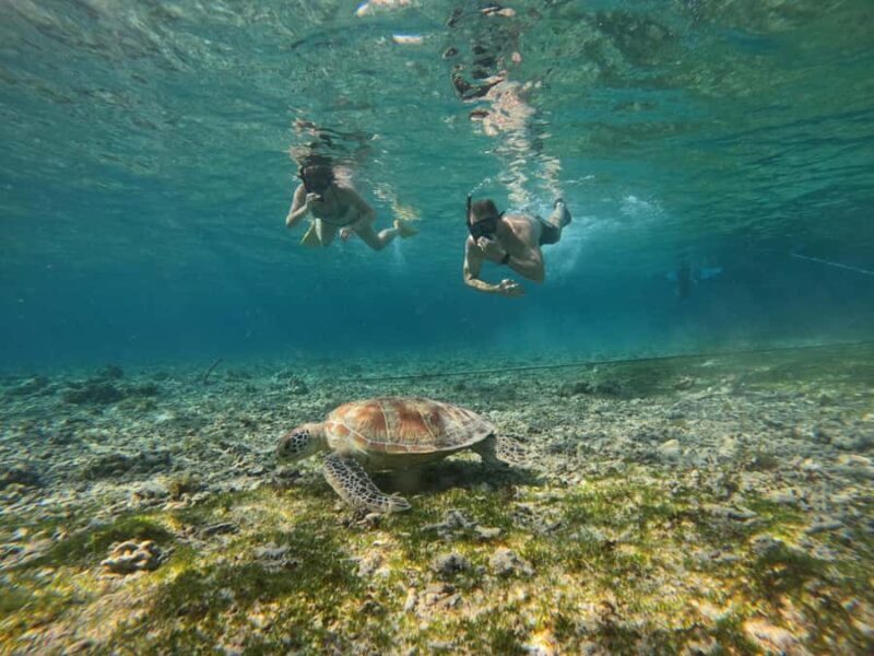 Gili Air: Small-Group Snorkeling Tour with GoPro - Introduction to the Tour