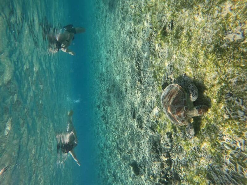 Gili Air: Small-Group Snorkeling Tour with GoPro - Whats Included and How It Adds Value