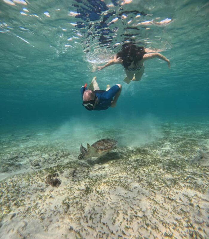 Gili Air: Small-Group Snorkeling Tour with GoPro - Group Size, Timing, and Practical Considerations