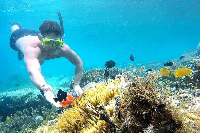 Gili Gede West Lombok Boat and Snorkeling Private Tour - Tour Overview