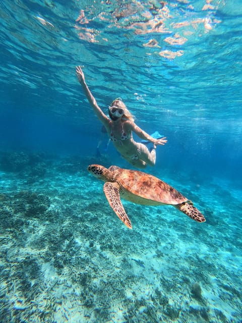 Gili Island Private Snorkeling & Visit Baby Turtles - Itinerary Highlights