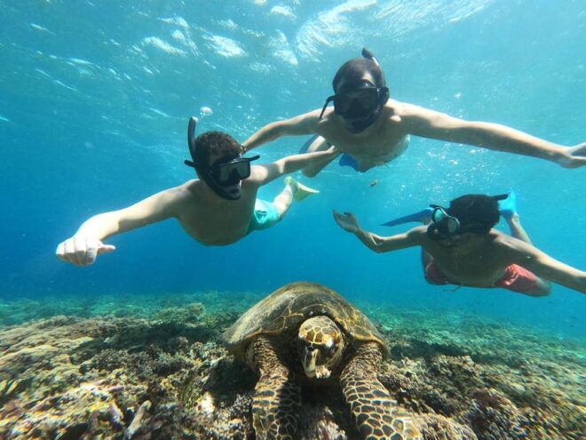 Gili Island Private Snorkeling & Visit Baby Turtles - Snorkeling Experience